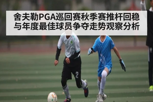 舍夫勒PGA巡回赛秋季赛推杆回稳与年度最佳球员争夺走势观察分析